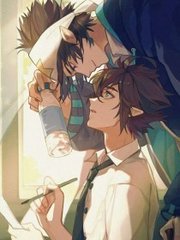 人与动物发生关系